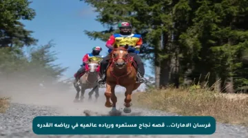 فرسان الإمارات.. قصة نجاح مستمرة وريادة عالمية في رياضة القدرة